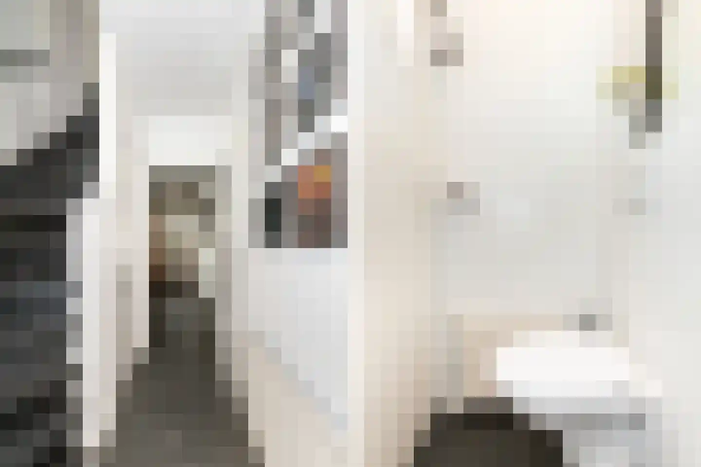 Prinses Irenestraat 5 Ridderkerk thumbnail 5