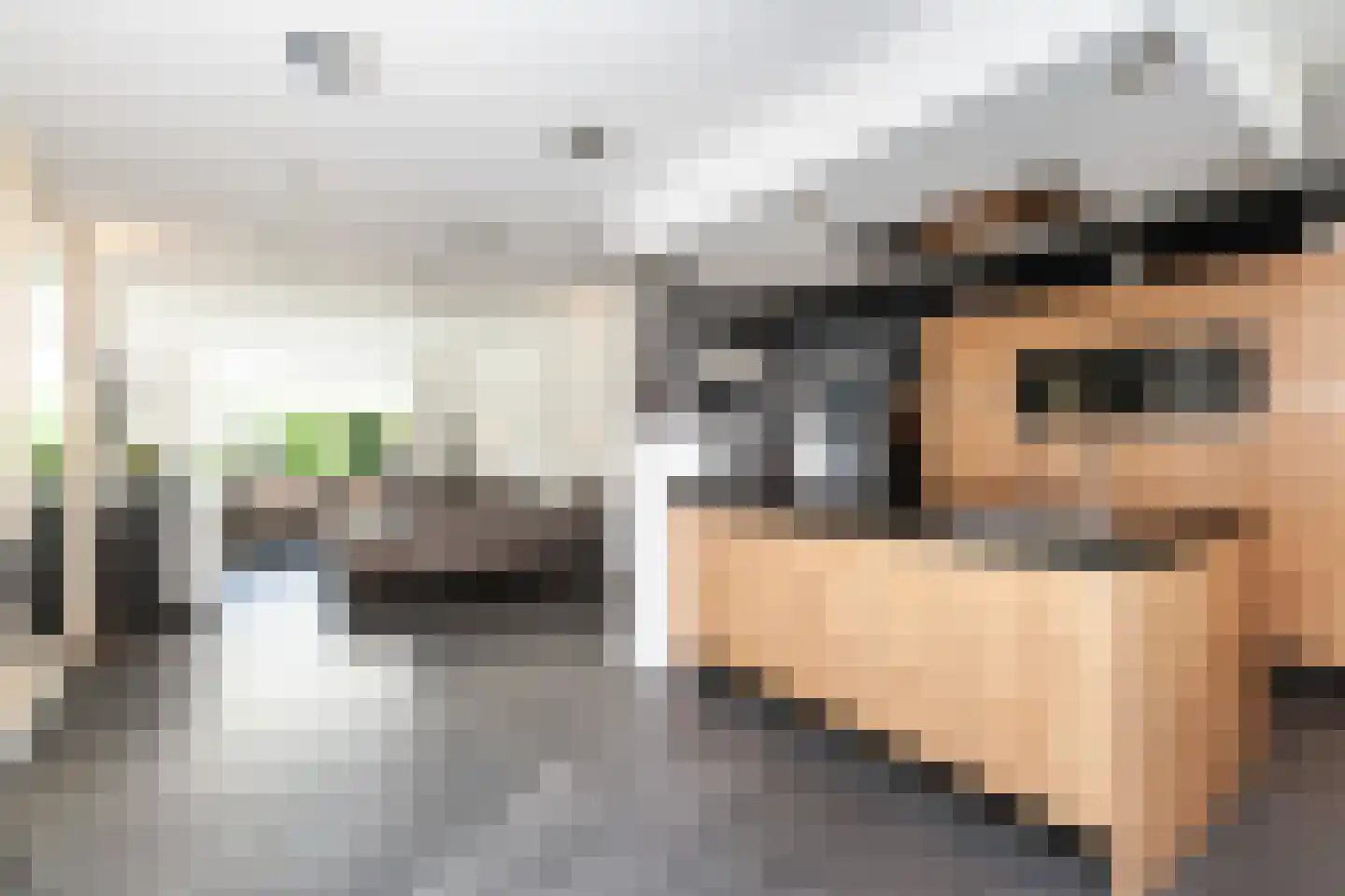 Prinses Irenestraat 5 Ridderkerk thumbnail 7
