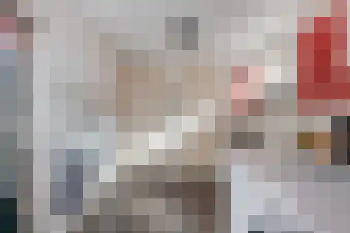 Prinses Irenestraat 6 Dinteloord thumbnail 17