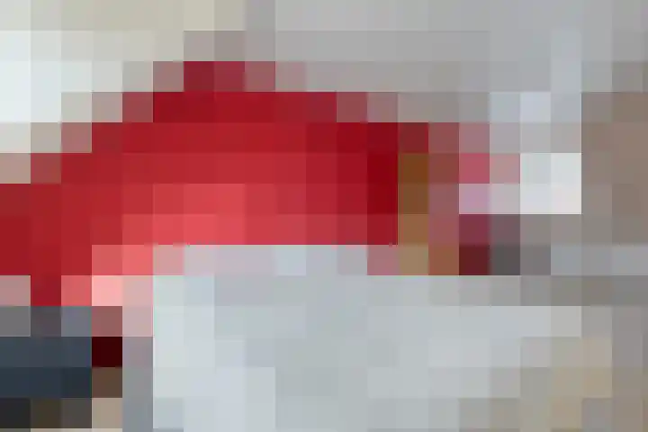 Prinses Irenestraat 6 Dinteloord thumbnail 22