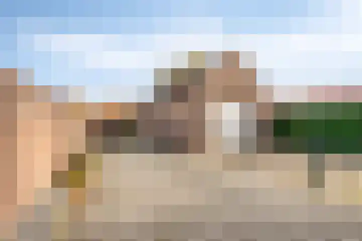 Prinses Irenestraat 6 Dinteloord thumbnail 29