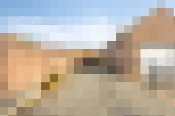 Prinses Irenestraat 6 Dinteloord thumbnail 30