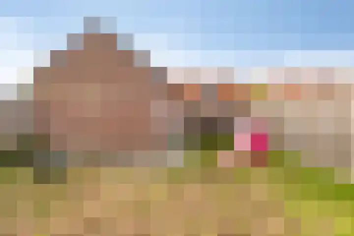 Prinses Irenestraat 6 Dinteloord thumbnail 34