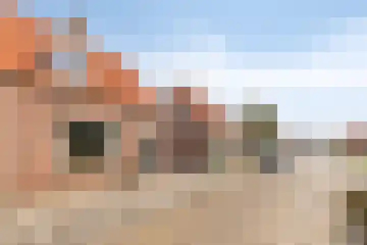 Prinses Irenestraat 6 Dinteloord thumbnail 38