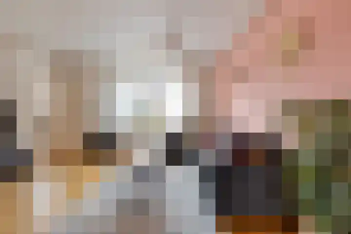 Prinses Irenestraat 6 Dinteloord thumbnail 8