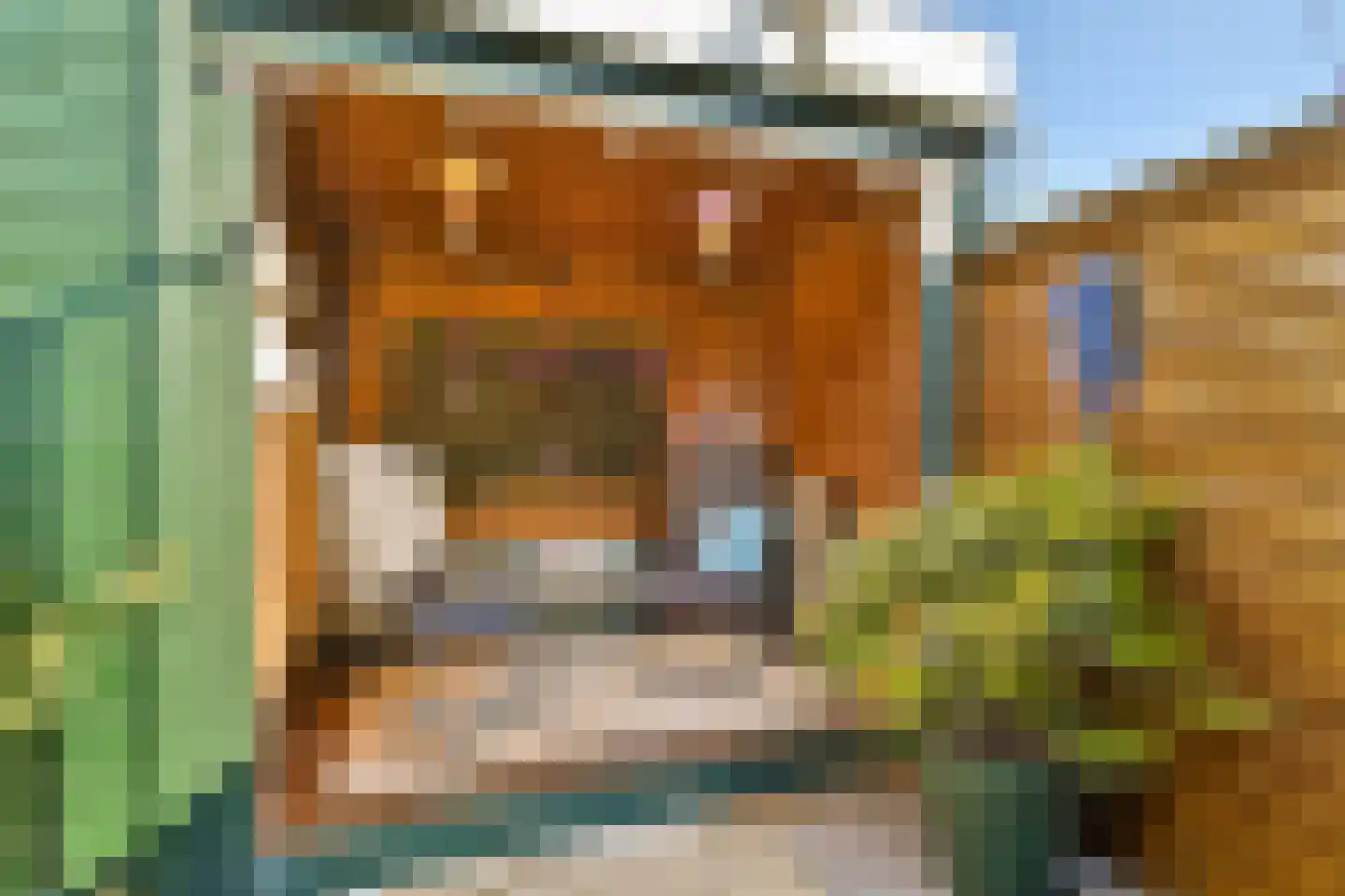 Prinses Irenestraat 6 Volendam thumbnail 12