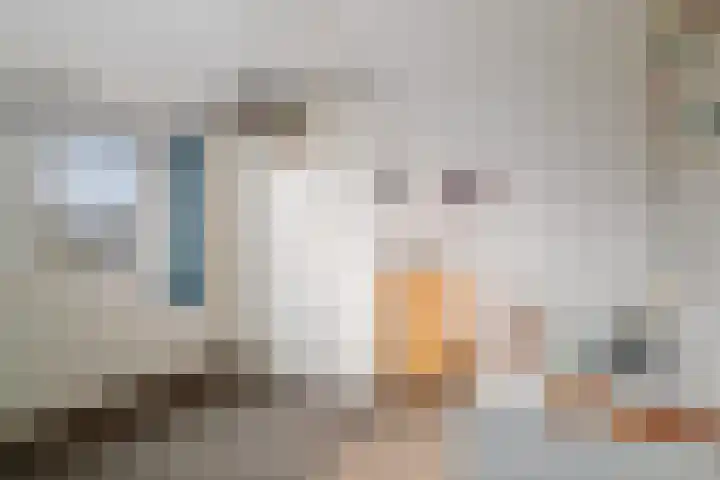 Prinses Irenestraat 9 Olst thumbnail 17