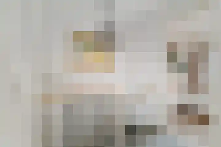 Prinses Irenestraat 9 Olst thumbnail 23