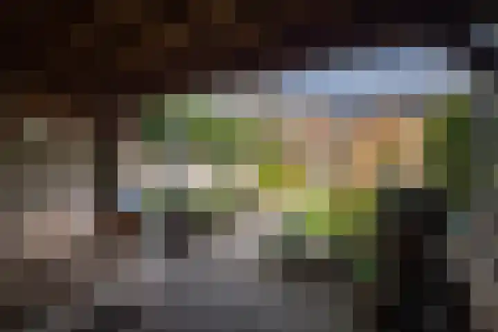 Prinses Irenestraat 9 Olst thumbnail 31