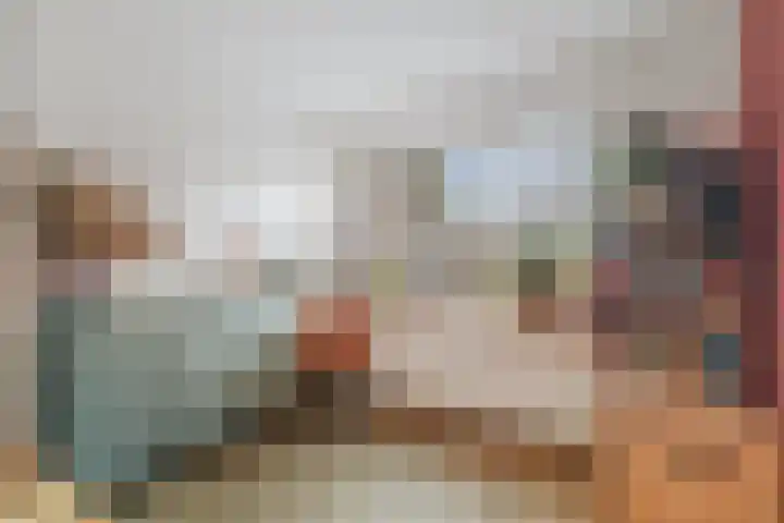 Prinses Irenestraat 9 Olst thumbnail 9