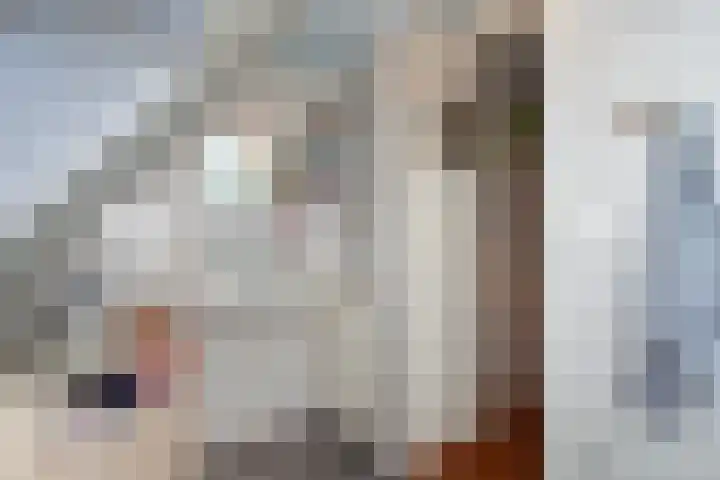 Prinses Ireneweg 10 Oud-Alblas thumbnail 20