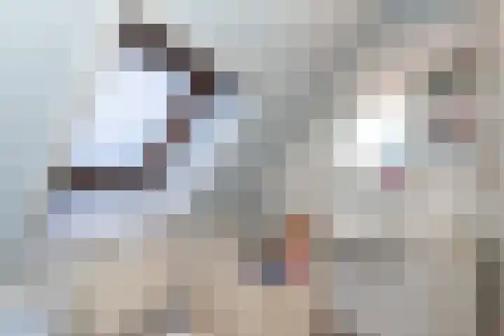 Prinses Ireneweg 10 Oud-Alblas thumbnail 22