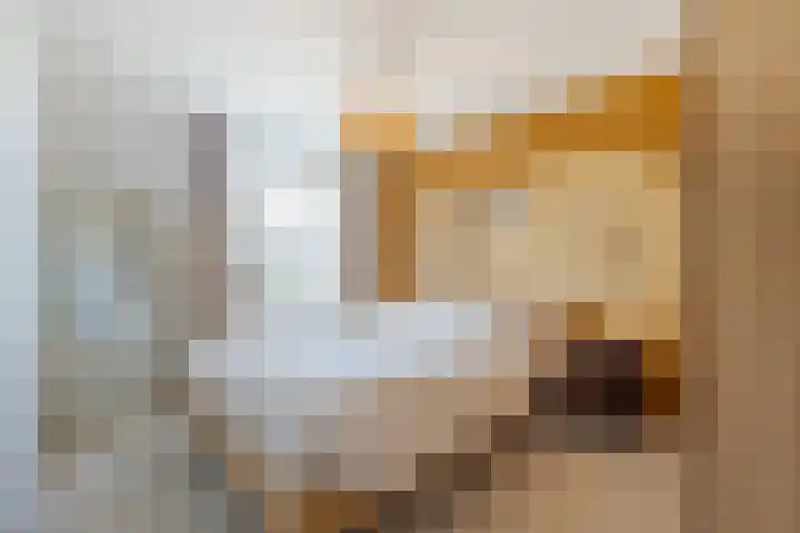 Prinses Ireneweg 12 Oud-Alblas thumbnail 14
