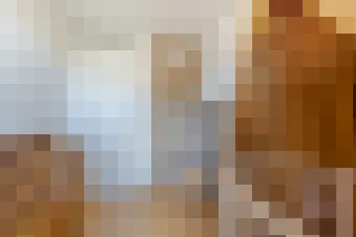 Prinses Ireneweg 12 Oud-Alblas thumbnail 19