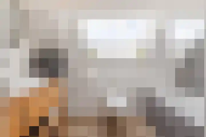Prinses Ireneweg 12 Oud-Alblas thumbnail 20
