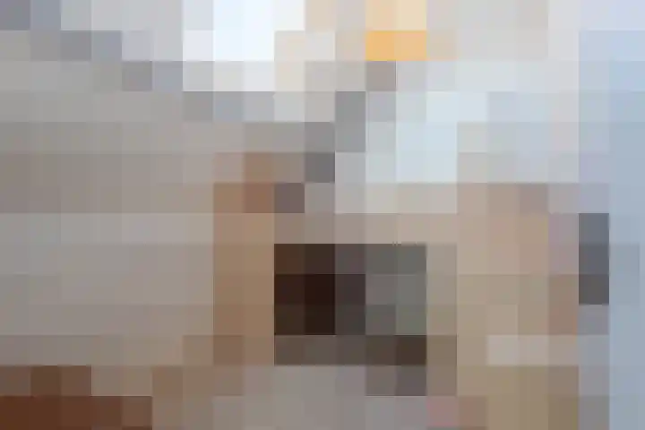 Prinses Ireneweg 12 Oud-Alblas thumbnail 24