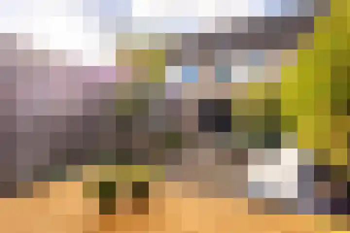 Prinses Ireneweg 12 Oud-Alblas thumbnail 26