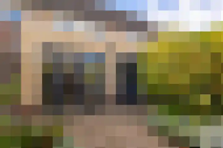 Prinses Ireneweg 12 Oud-Alblas thumbnail 29