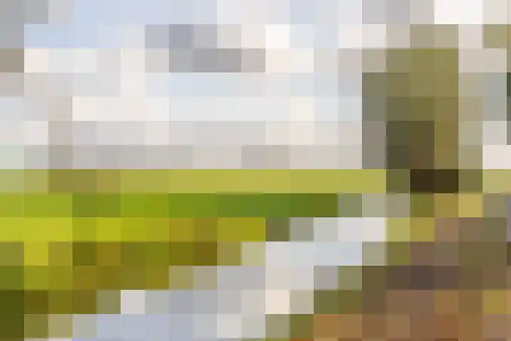 Prinses Ireneweg 12 Oud-Alblas thumbnail 32