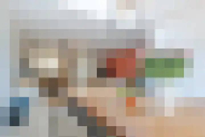Prinses Ireneweg 12 Oud-Alblas thumbnail 7