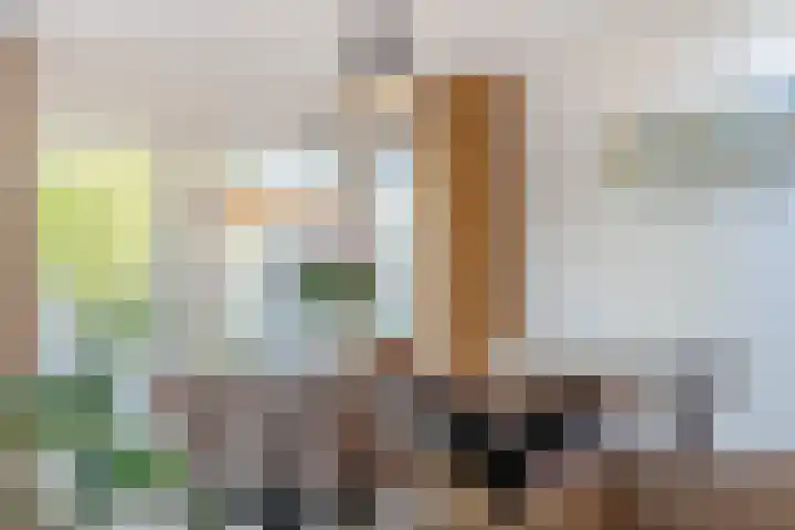 Prinses Ireneweg 12 Oud-Alblas thumbnail 8