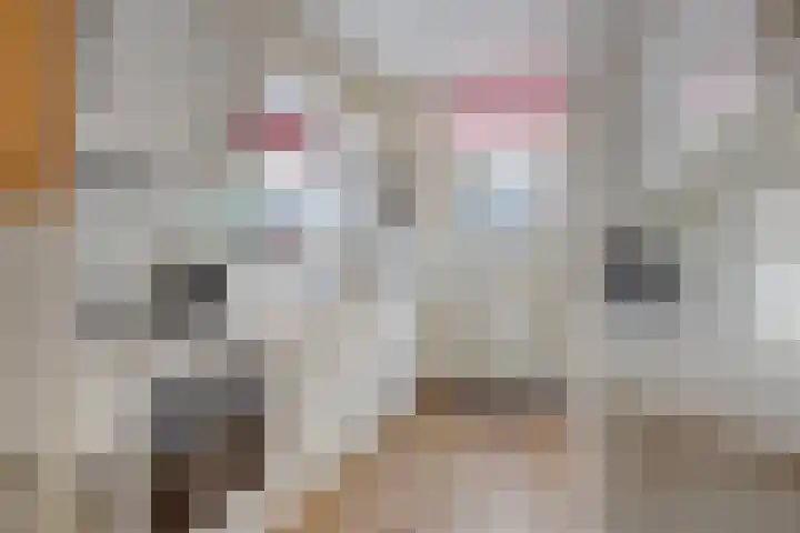 Prinses Ireneweg 25 Schalkhaar thumbnail 10