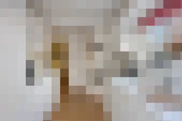 Prinses Ireneweg 25 Schalkhaar thumbnail 11