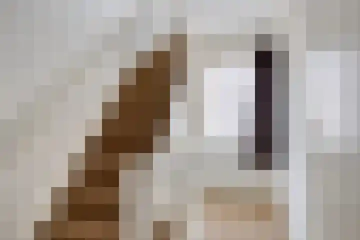 Prinses Ireneweg 25 Schalkhaar thumbnail 14