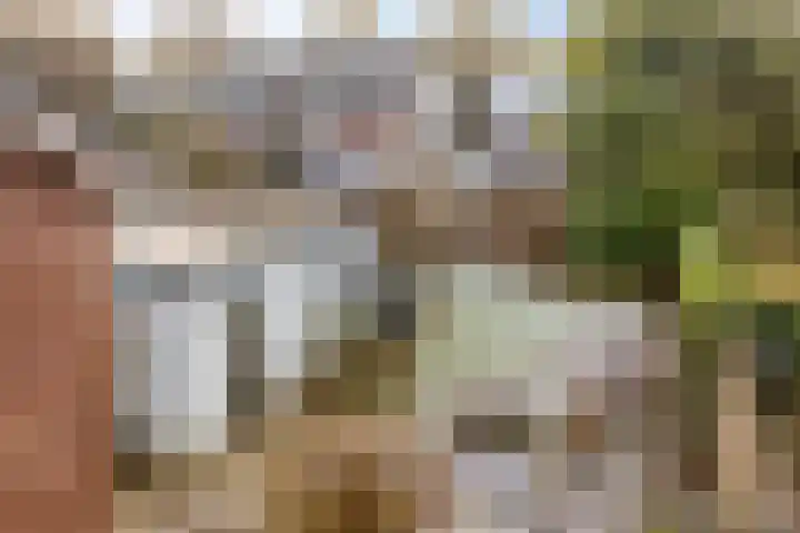 Prinses Ireneweg 25 Schalkhaar thumbnail 25