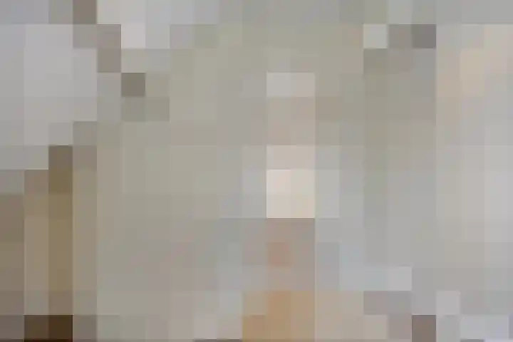 Prinses Ireneweg 25 Schalkhaar thumbnail 26