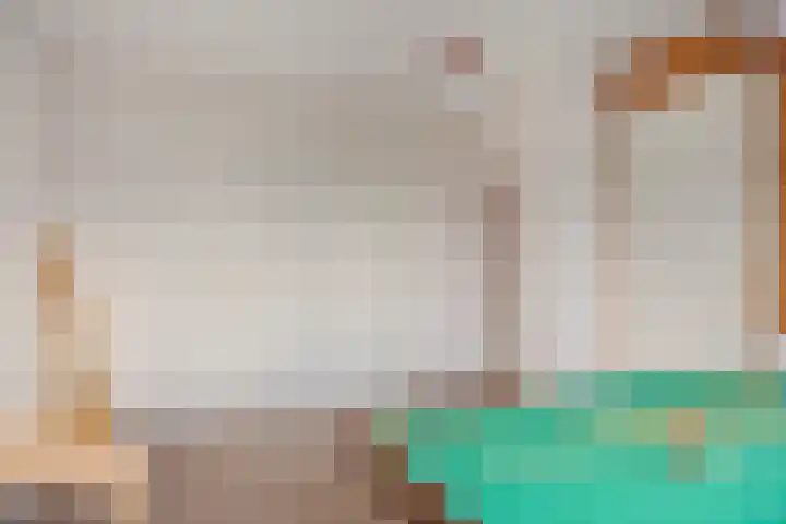 Prinses Ireneweg 25 Schalkhaar thumbnail 28