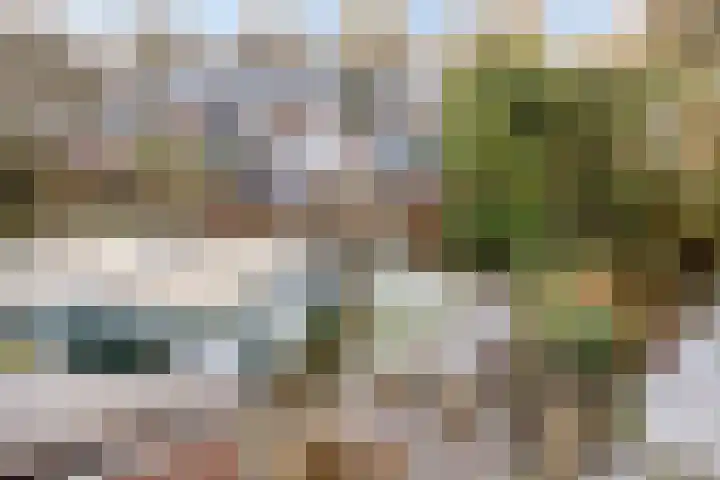 Prinses Ireneweg 25 Schalkhaar thumbnail 30