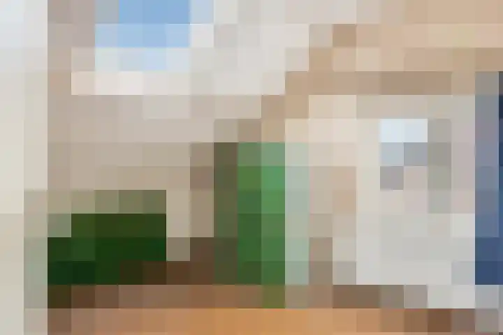 Prinses Ireneweg 25 Schalkhaar thumbnail 31
