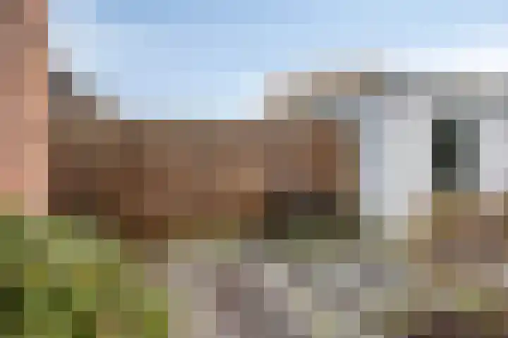 Prinses Ireneweg 25 Schalkhaar thumbnail 33