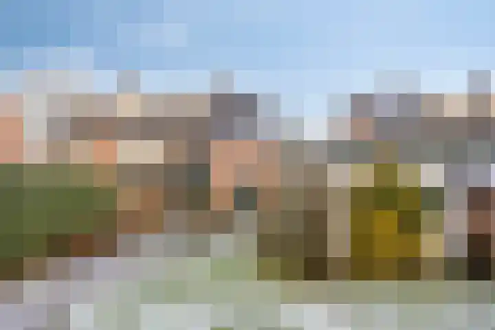 Prinses Ireneweg 25 Schalkhaar thumbnail 36