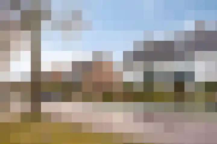 Prinses Ireneweg 25 Schalkhaar thumbnail 42