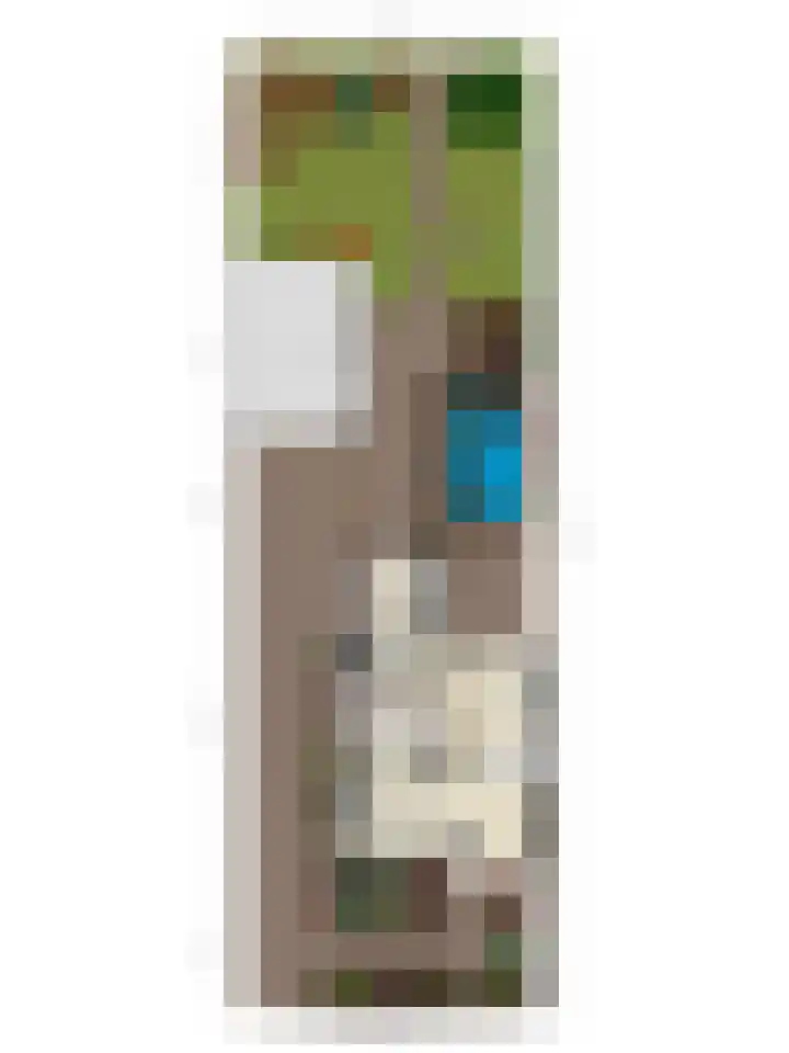 Prinses Ireneweg 25 Schalkhaar thumbnail 43