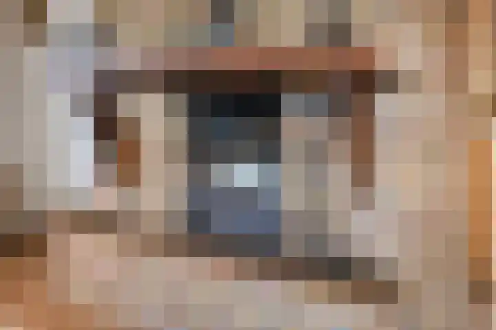 Prinses Ireneweg 25 Schalkhaar thumbnail 6