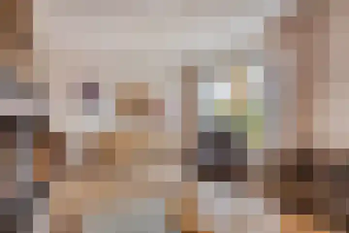 Prinses Ireneweg 25 Schalkhaar thumbnail 7