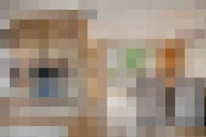 Prinses Ireneweg 25 Schalkhaar thumbnail 8