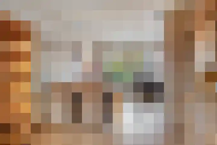 Prinses Ireneweg 25 Schalkhaar thumbnail 9