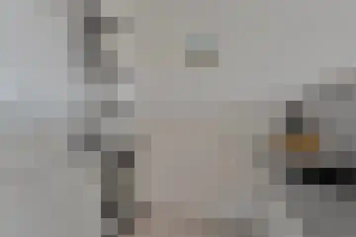 Prinses Ireneweg 29 Bunde thumbnail 14