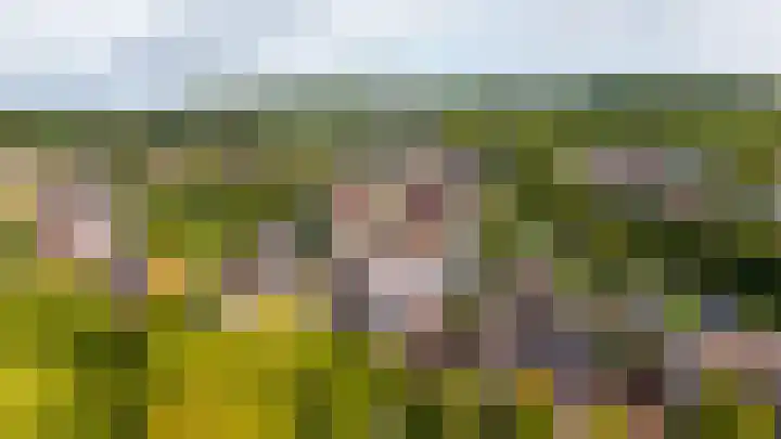 Prinses Ireneweg 29 Bunde thumbnail 36