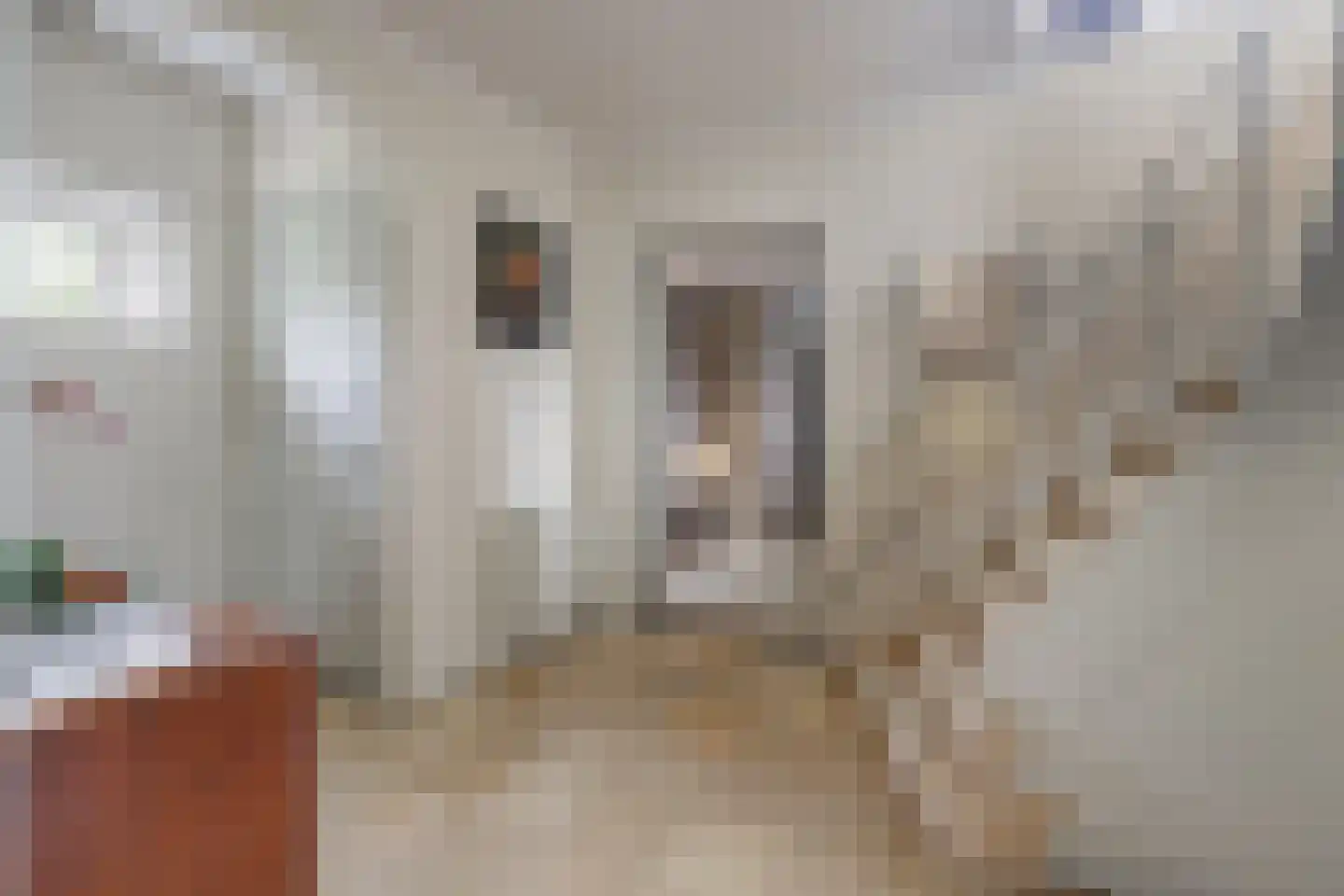 Prinses Ireneweg 3 Bunde thumbnail 13