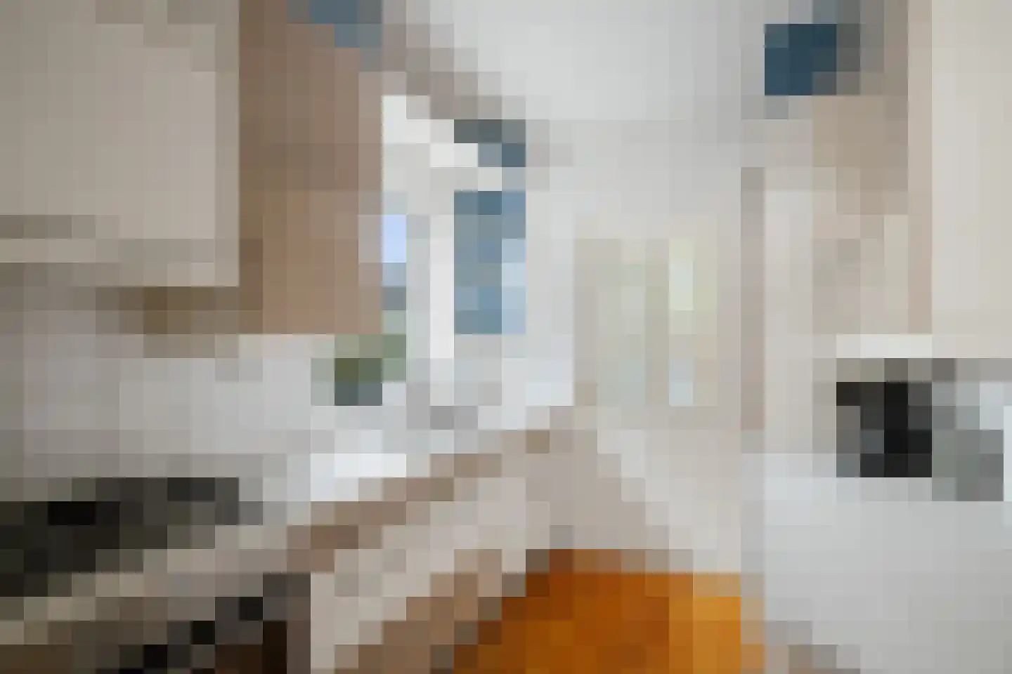 Prinses Ireneweg 4 Schalkhaar thumbnail 11