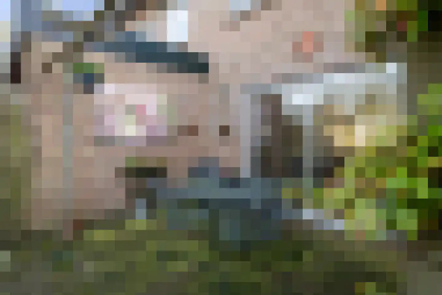 Prinses Ireneweg 4 Schalkhaar thumbnail 17