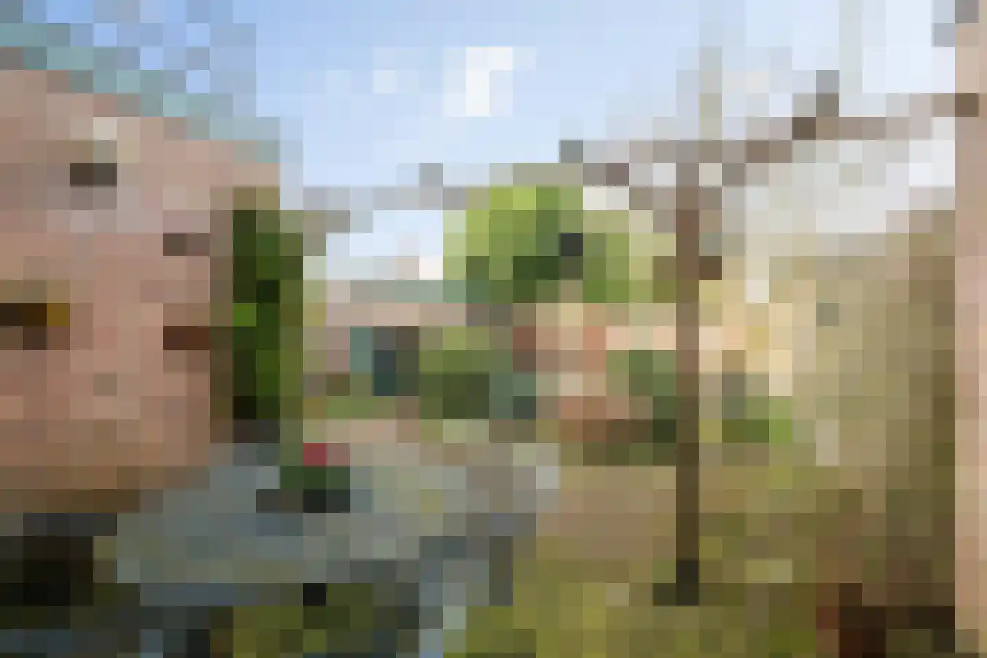 Prinses Ireneweg 4 Schalkhaar thumbnail 20