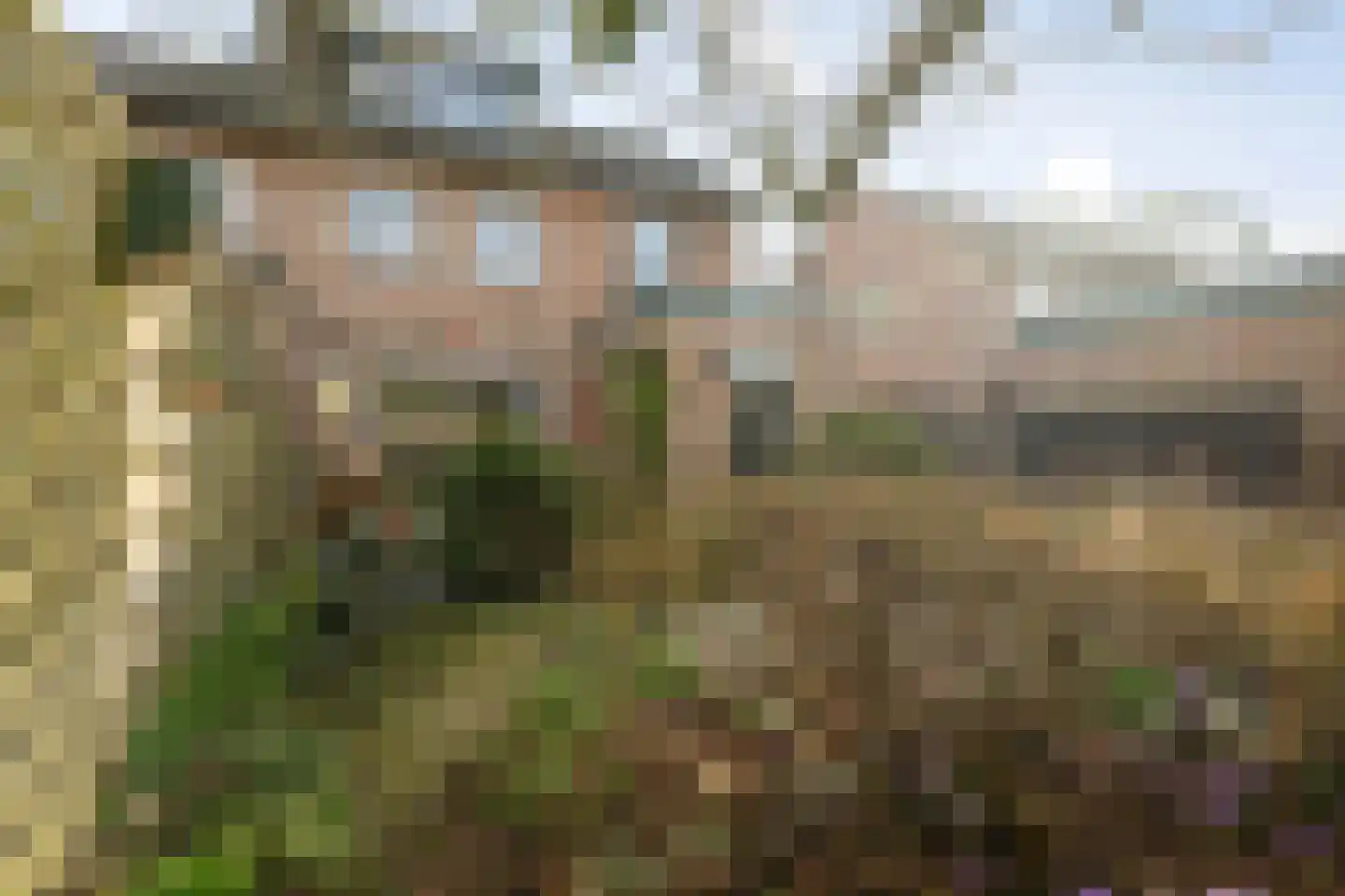 Prinses Ireneweg 4 Schalkhaar thumbnail 23