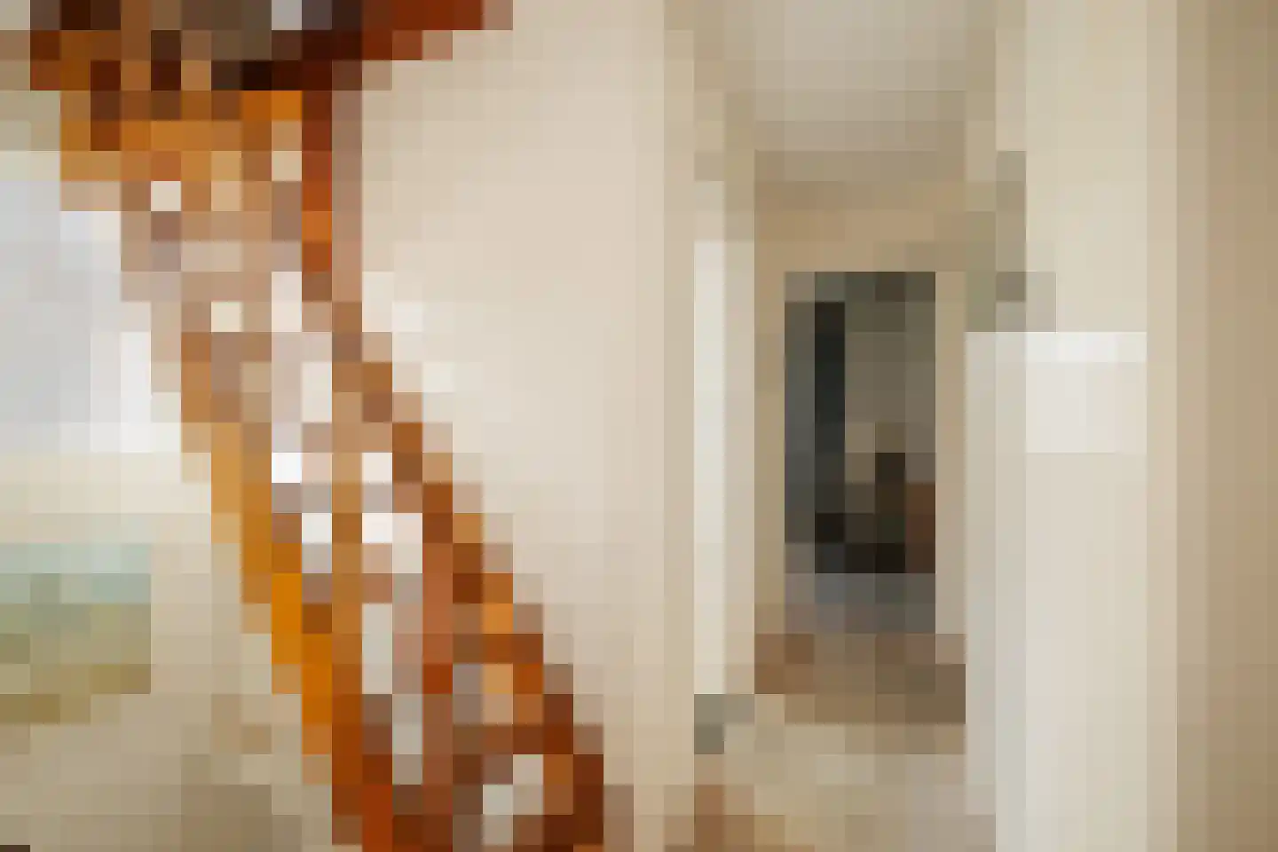 Prinses Ireneweg 4 Schalkhaar thumbnail 33