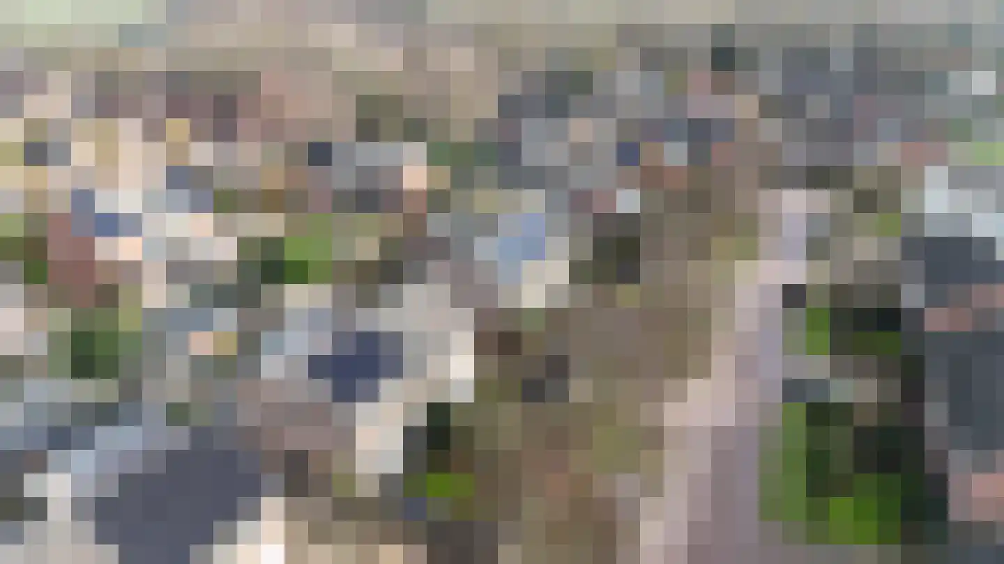 Prinses Ireneweg 4 Schalkhaar thumbnail 38